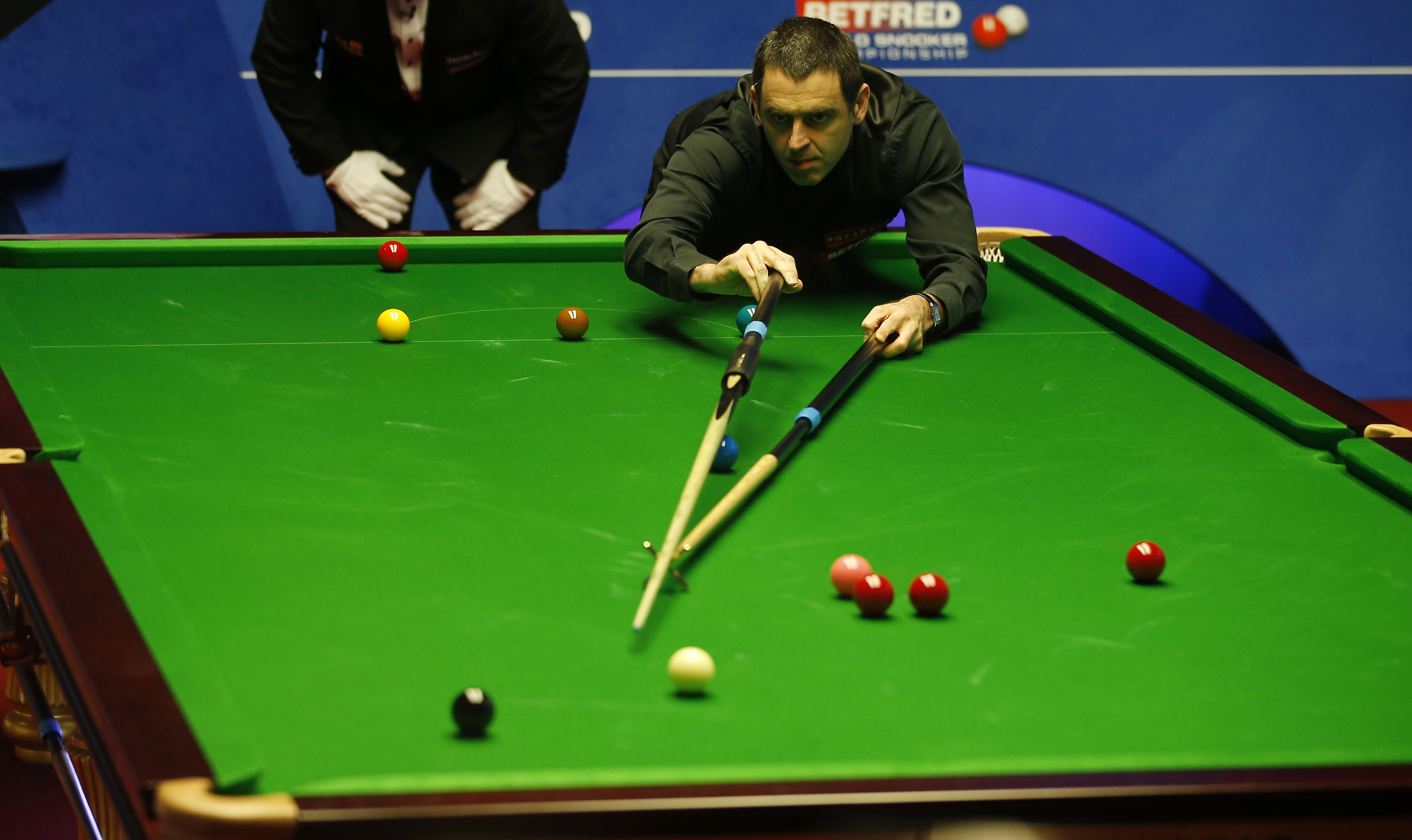 预计很快会 预计很快会