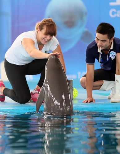 的情况下 的情况下