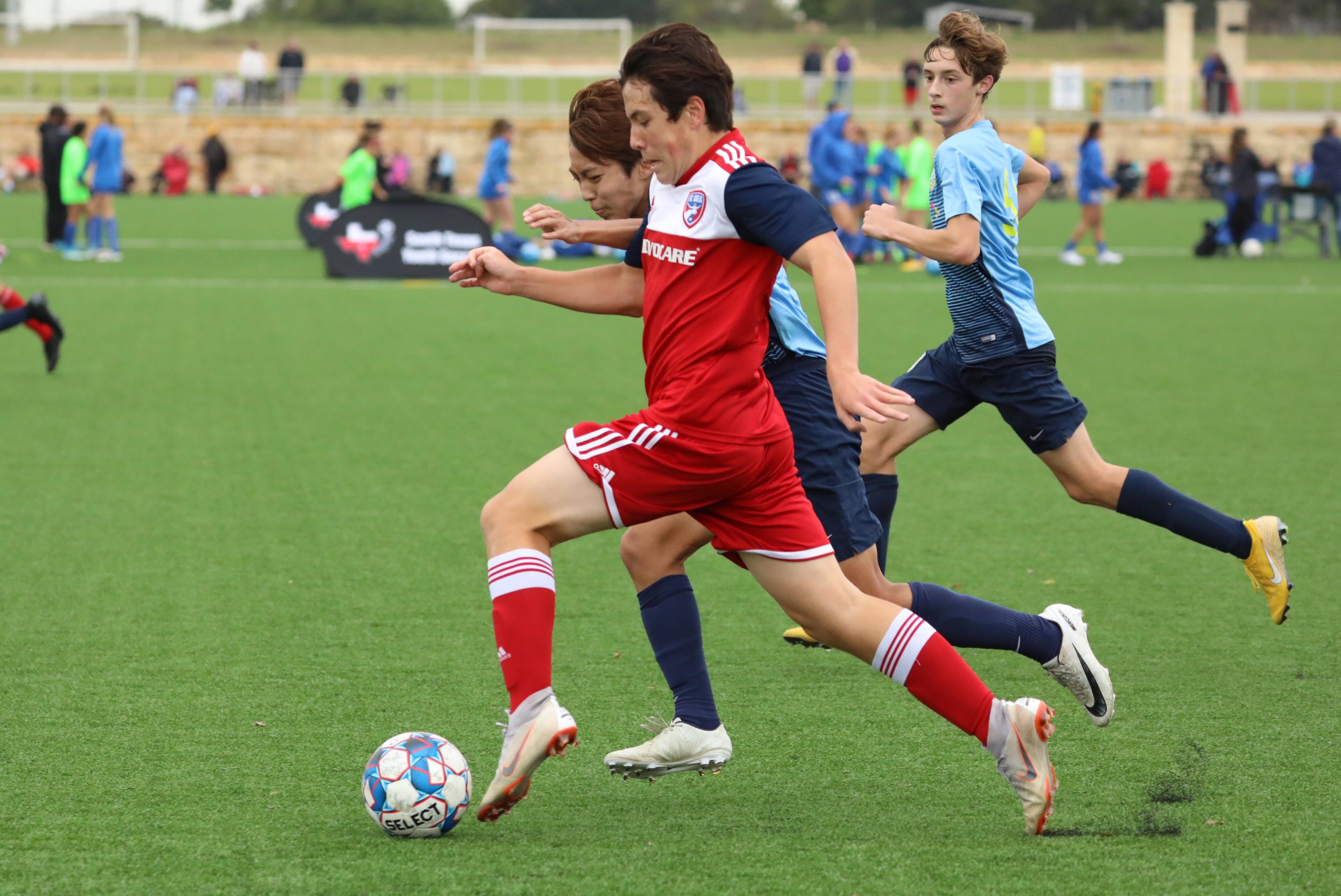 到了积极作 到了积极作