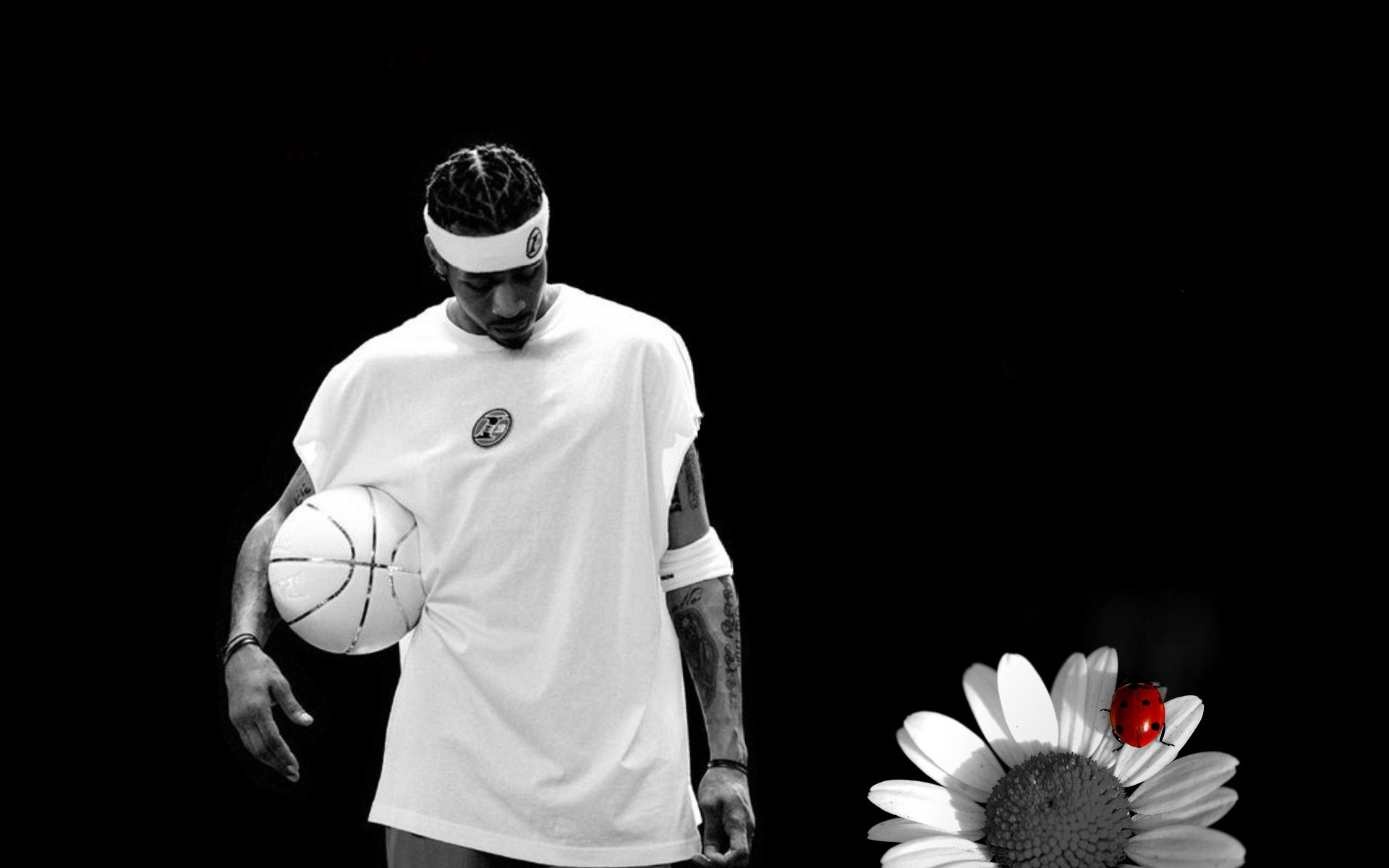 整体波动将 整体波动将